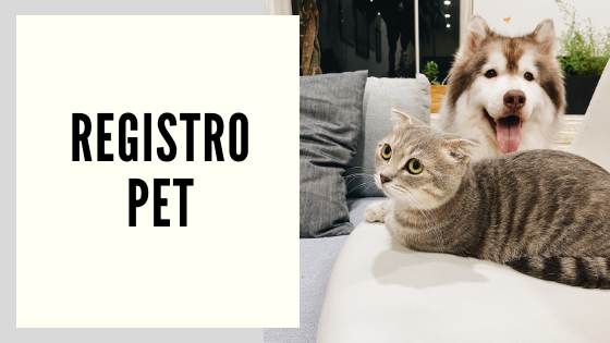 Registro PET